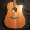 Vintage VEC501MH Acoustic Dreadnought Satin Mahogany w/ Fishman Presys II pickup & USB Recording!