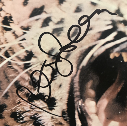 Peter Green End Of The Game LP EX 1970 WLP AUTOGRAPHED SIGNED / Fleetwood Mac Reprise Classic Blues Rock / White Label Promo