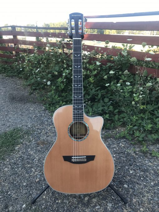 Orangewood Mason Nylon Cedar Live Solid Top Acoustic-Electric w/ Fishman EQ & Softcase