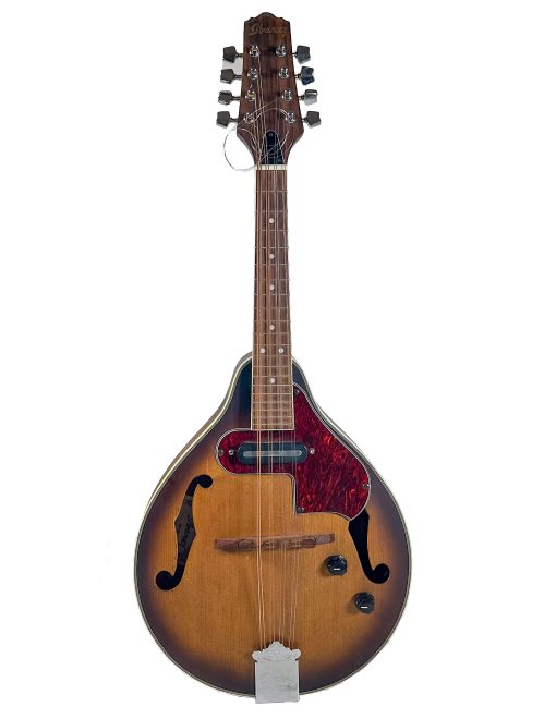 Ibanez Acoustic / Electric Mandolin M510E-OVS