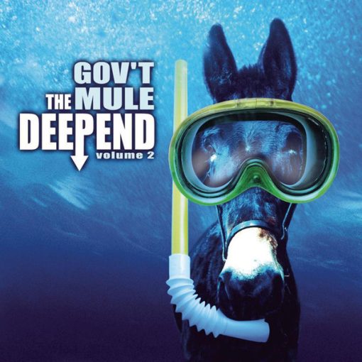 Gov't Mule - The Deep End Volume 2 CD M 2002 [Genre]