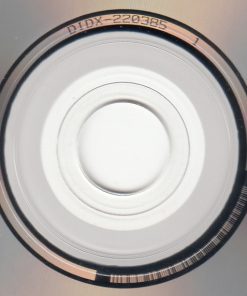 PJ Harvey & John Parish-3