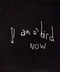 Antony And The Johnsons-1