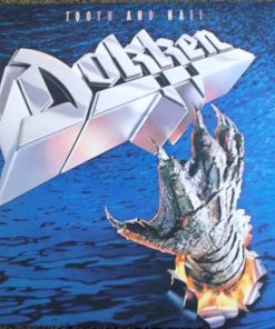 Dokken-0