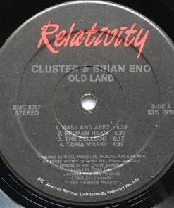 Cluster & Brian Eno-2