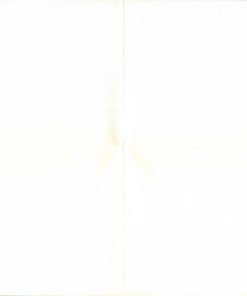 Stevie Ray Vaughan & Double Trouble - Couldn't Stand The Weather-4