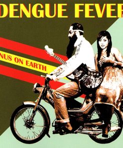 Dengue Fever - Venus On Earth-4