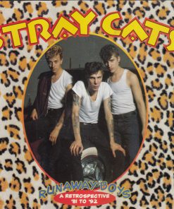 Stray Cats-0
