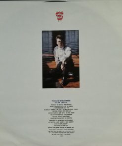 Steve Winwood - Roll With It-4