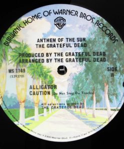 The Grateful Dead - Anthem Of The Sun-3