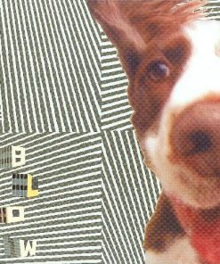 The Blow - The Concussive Caress, Or, Casey Caught Her Mom Singing Along With The Vacuum-0