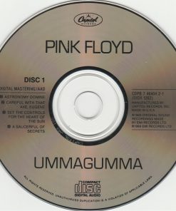Pink Floyd - Ummagumma-2