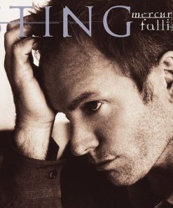 Sting - Mercury Falling-0