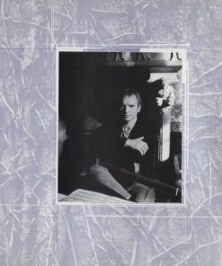 Sting - Mercury Falling-4