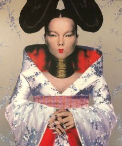 Björk - Homogenic-0