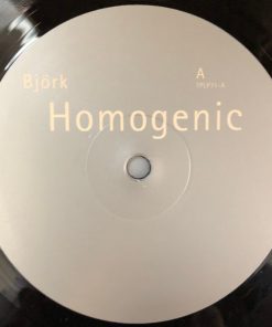 Björk - Homogenic-2