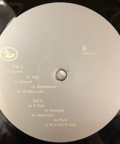 Björk - Homogenic-3