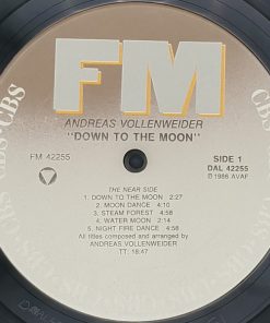 Andreas Vollenweider - Down To The Moon-2