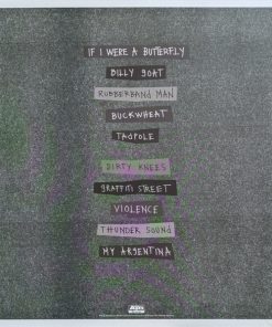 Rayland Baxter - If I Were A Butterfly -1