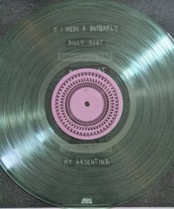 Rayland Baxter - If I Were A Butterfly -2