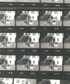 Emerson, Lake & Palmer-3