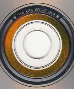 PJ Harvey - To Bring You My Love-3