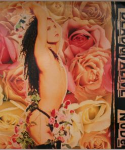 Dead Or Alive - Nude-0