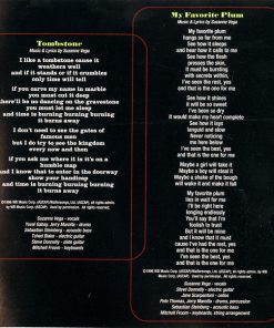 Suzanne Vega - Nine Objects Of Desire-2