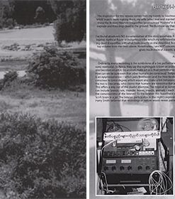 Tucker Martine - Broken Hearted Dragonflies-1