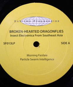 Tucker Martine - Broken Hearted Dragonflies-2
