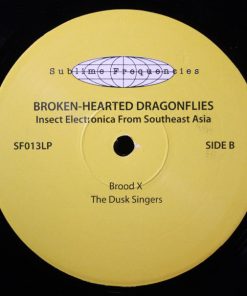 Tucker Martine - Broken Hearted Dragonflies-3