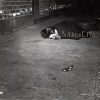 John Zorn - Naked City-0