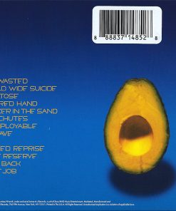 Pearl Jam - Pearl Jam-2