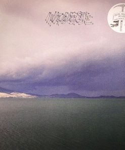 Modest Mouse - The Fruit That Ate Itself-0