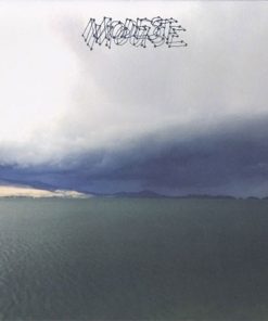 Modest Mouse - The Fruit That Ate Itself-1