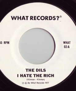 The Dils-2
