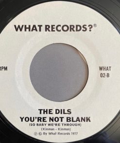 The Dils-3