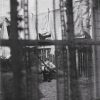 Paul McCartney - Chaos And Creation In The Backyard-0