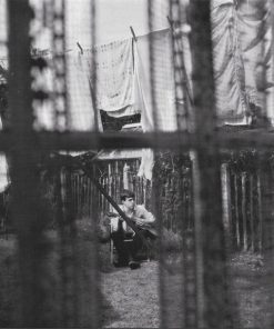 Paul McCartney - Chaos And Creation In The Backyard-0