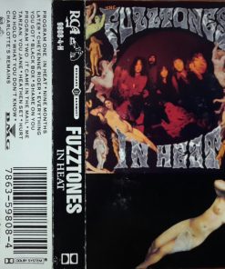 The Fuzztones-0