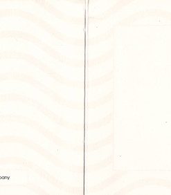 The Rolling Stones - Who Are The Stones?-3