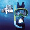 Gov't Mule - The Deep End Volume 2-0