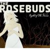 The Rosebuds - Night Of The Furies-0