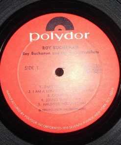 Roy Buchanan, Buch And The Snakestretchers-2