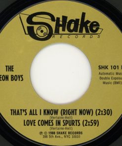 Richard Hell + The Voidoids (Part III)* / The Neon Boys-3