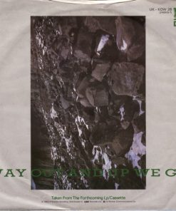 Echo & The Bunnymen-1